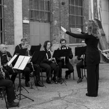 IL DOTTOR DIVARIO - SAFARI URBANO II