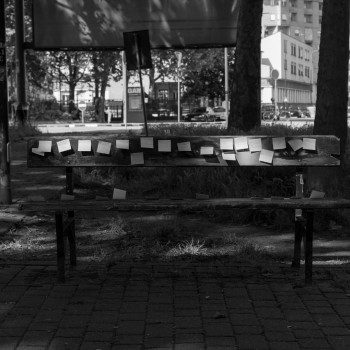 IL GRANDE GAP - SAFARI URBANO I